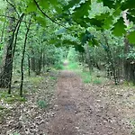Apartment Tot Rust In The Forest Putte