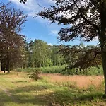 Apartment Tot Rust In The Forest Putte