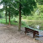 Tot Rust In The Forest