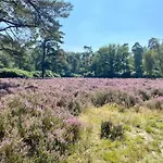 Tot Rust In The Forest