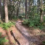 Апартаменты Tot Rust In The Forest *