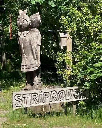 Tot Rust In The Forest * Putte