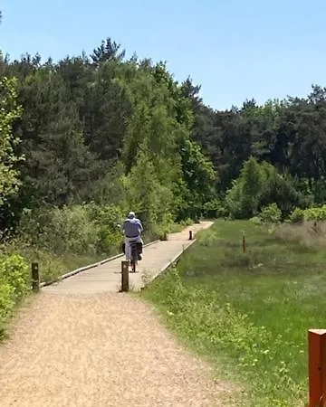 Tot Rust In The Forest Putte