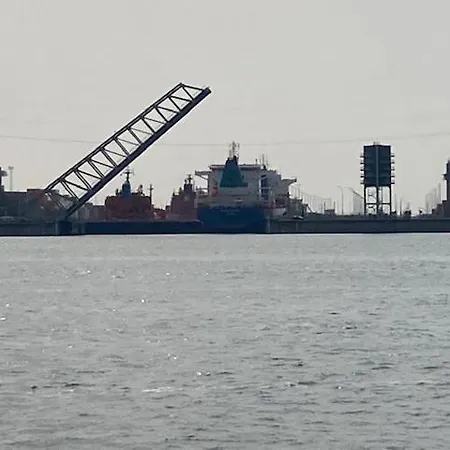 Tot Rust In The Forest *