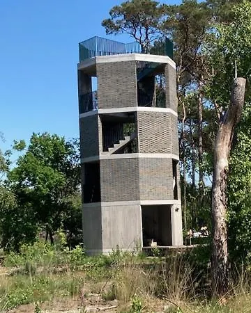 Tot Rust In The Forest Putte