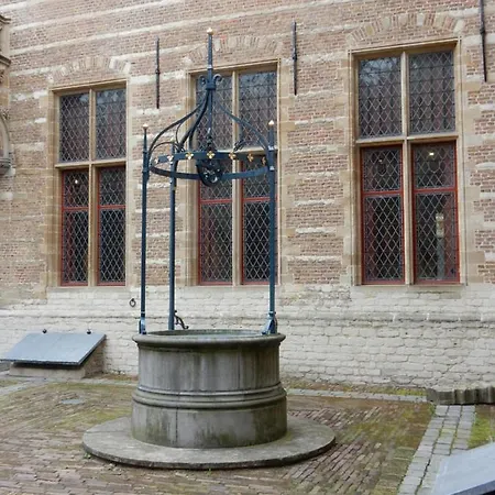 Tot Rust In The Forest *