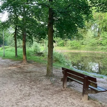 Tot Rust In The Forest