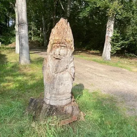 Апартаменты Tot Rust In The Forest Putte