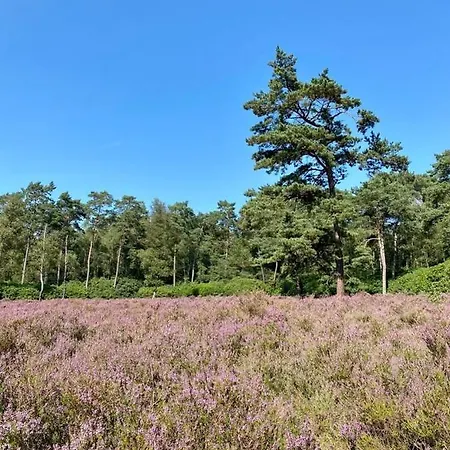 Apartamento Tot Rust In The Forest *