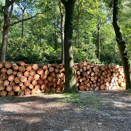 Tot Rust In The Forest Апартаменты Putte