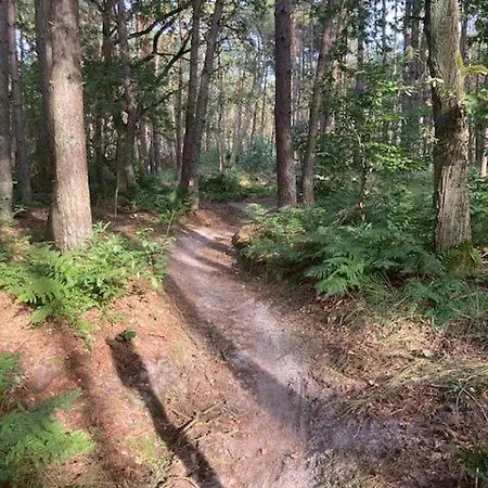 Апартаменты Tot Rust In The Forest *