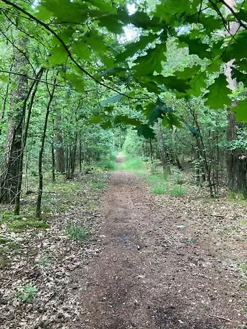 Appartement Tot Rust In The Forest Putte
