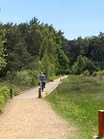 Tot Rust In The Forest Putte