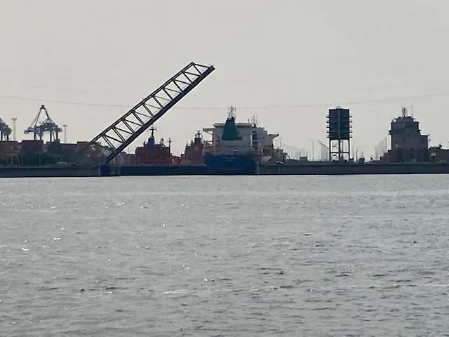 Tot Rust In The Forest *