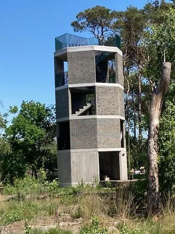 Tot Rust In The Forest Putte