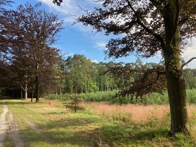 Appartement Tot Rust In The Forest Putte