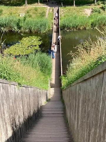 Tot Rust In The Forest Putte