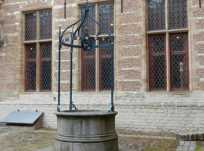 Tot Rust In The Forest *