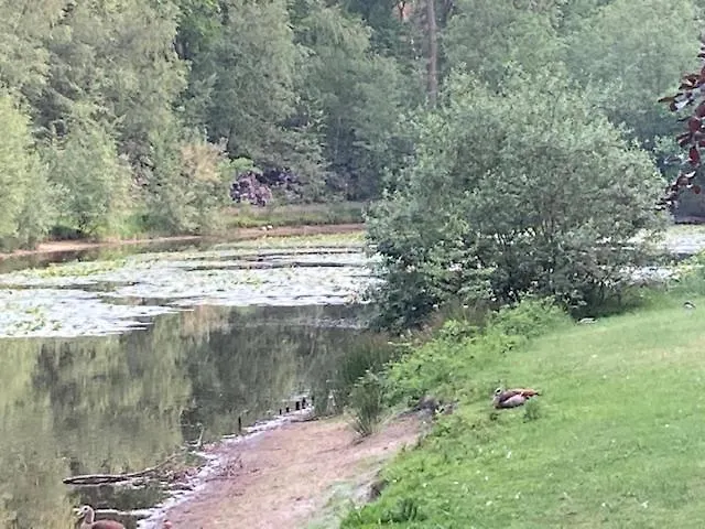 Appartement Tot Rust In The Forest