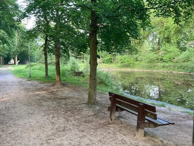 Tot Rust In The Forest