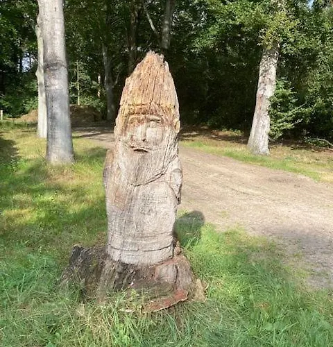 Appartement Tot Rust In The Forest Putte