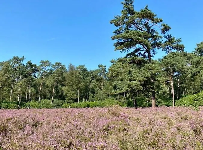 Appartement Tot Rust In The Forest *