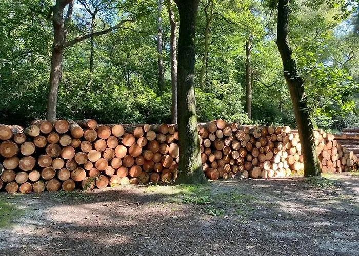 Tot Rust In The Forest Appartement Putte