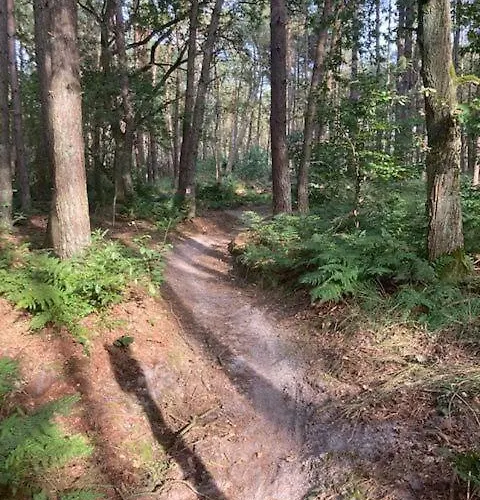 Appartement Tot Rust In The Forest *