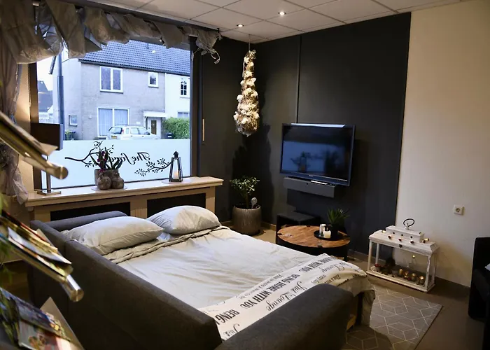 Tot Rust In The Forest